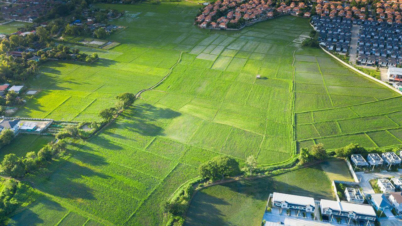 An image of a green expanse of grass with plot lines showing in the grass and developed lots with housing around the periphery.